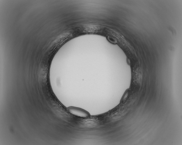 X0000112430505200909111033