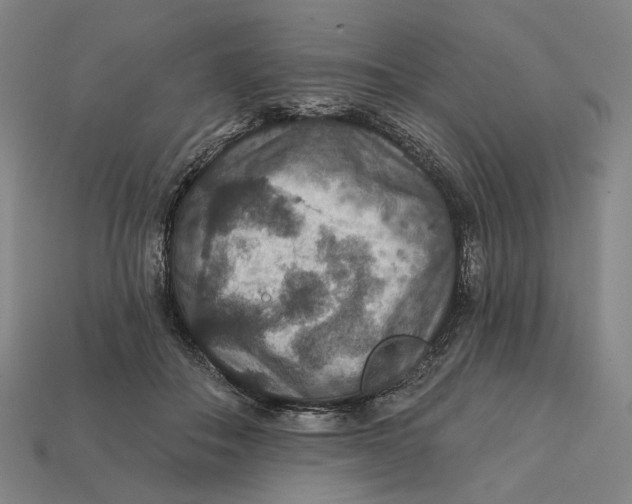 X0000112430506200909111033