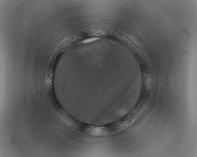 X0000112430507200909111032
