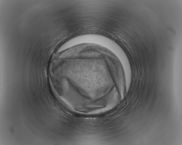 X0000112430508200909111032