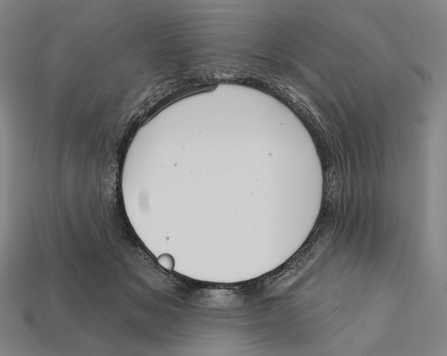 X0000112430509200909111032