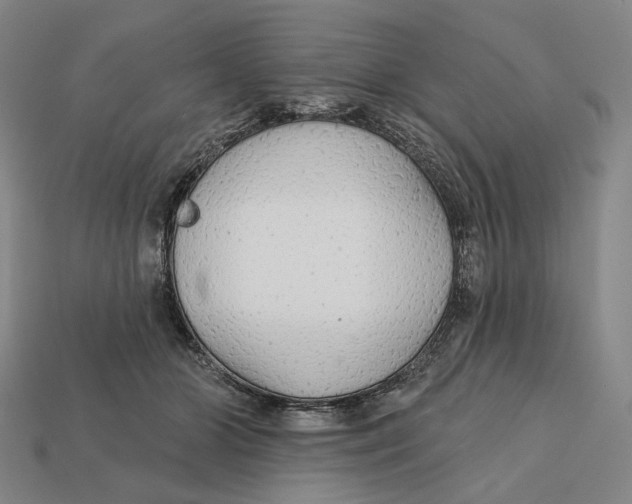 X0000112430510200909111032
