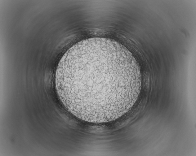 X0000112430511200909111032