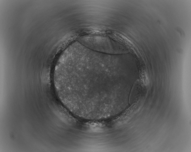 X0000112430512200909111032