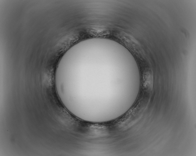 X0000112430515200909111032