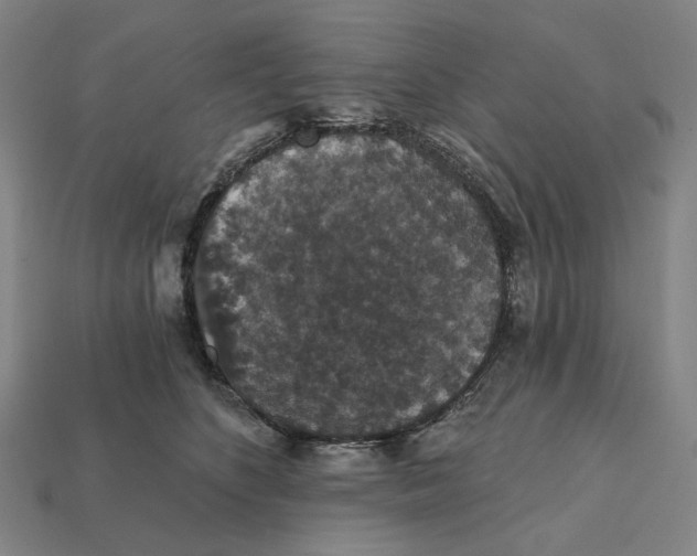 X0000112430516200909111032