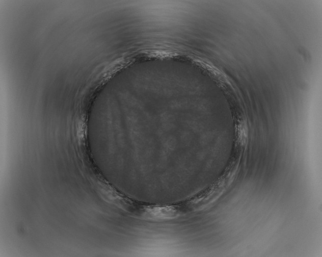 X0000112430517200909111032