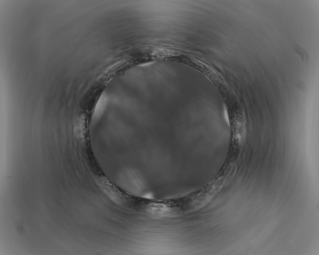 X0000112430519200909111032