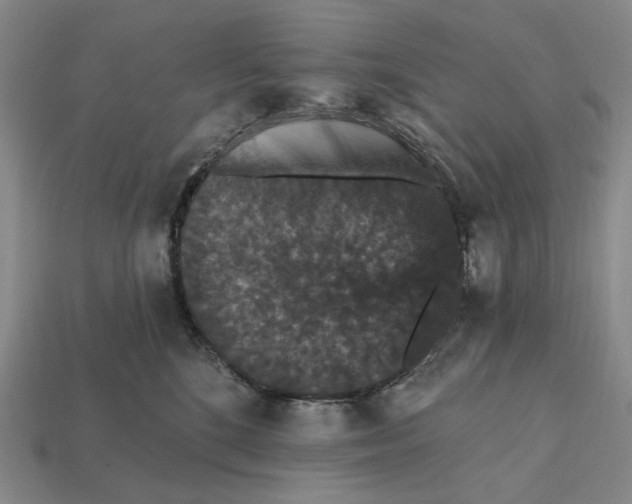 X0000112430520200909111032