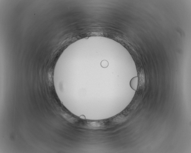 X0000112430522200909111032