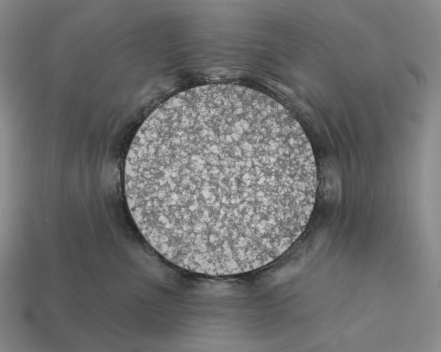 X0000112430523200909111032