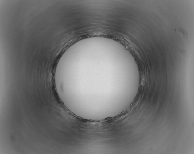 X0000112430524200909111032