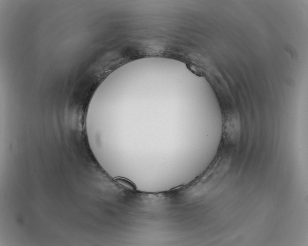 X0000112430525200909111032