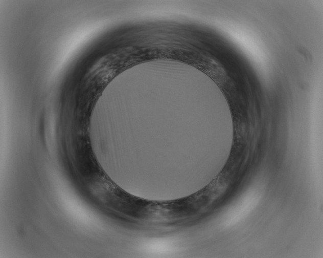 X0000112430526200909111032