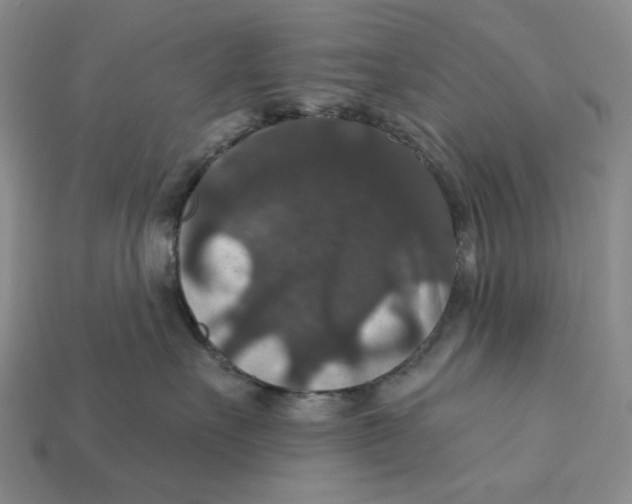 X0000112430527200909111032
