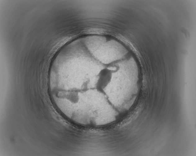 X0000112430529200909111032