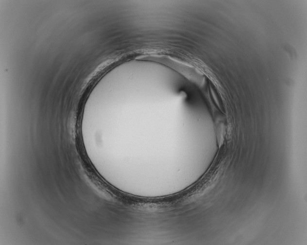 X0000112430530200909111032