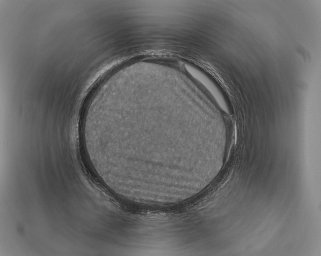 X0000112430531200909111032
