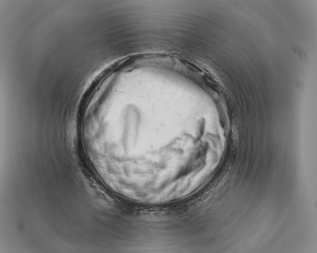 X0000112430532200909111032