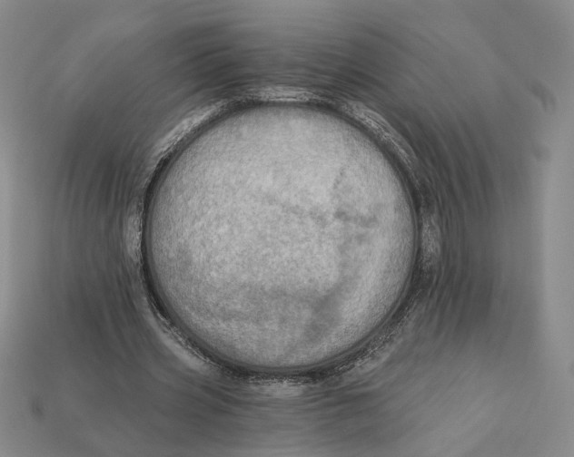 X0000112430533200909111032
