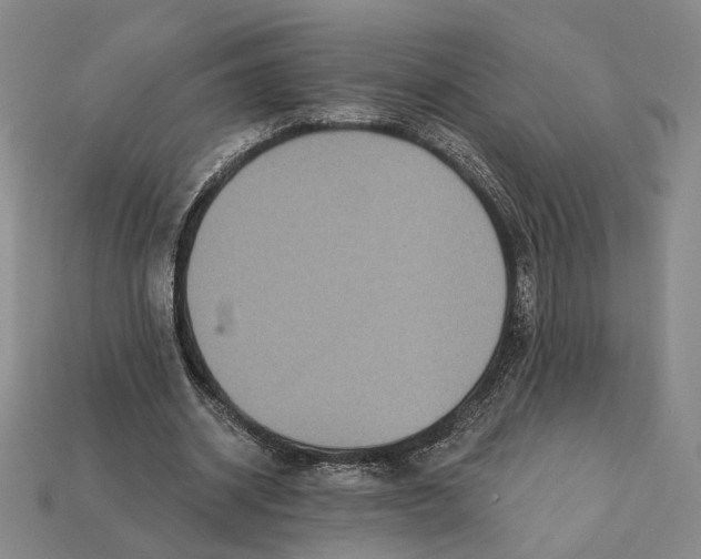 X0000112430534200909111032