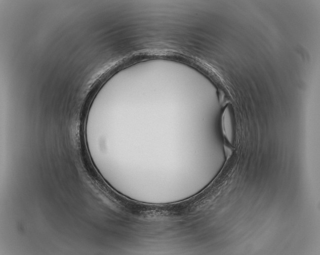 X0000112430535200909111032