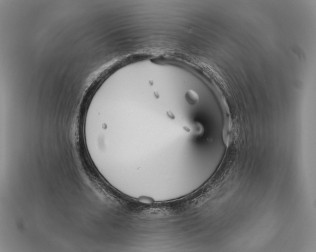 X0000112430536200909111032