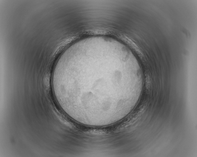X0000112430537200909111032