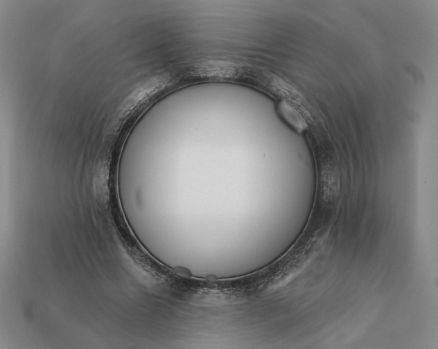 X0000112430538200909111032