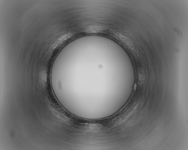 X0000112430539200909111032