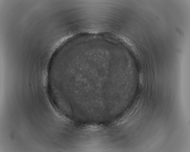X0000112430540200909111032