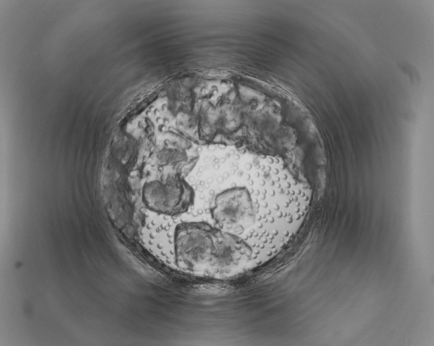 X0000112430541200909111032