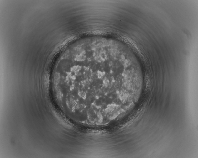 X0000112430542200909111032