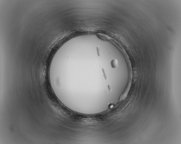 X0000112430544200909111032