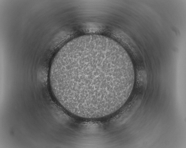 X0000112430545200909111032
