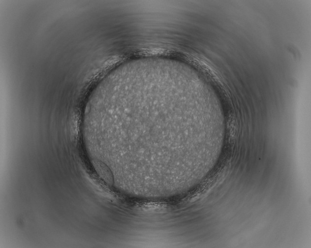 X0000112430546200909111032