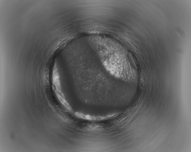 X0000112430547200909111032