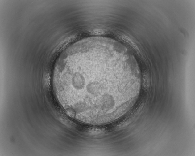 X0000112430549200909111032