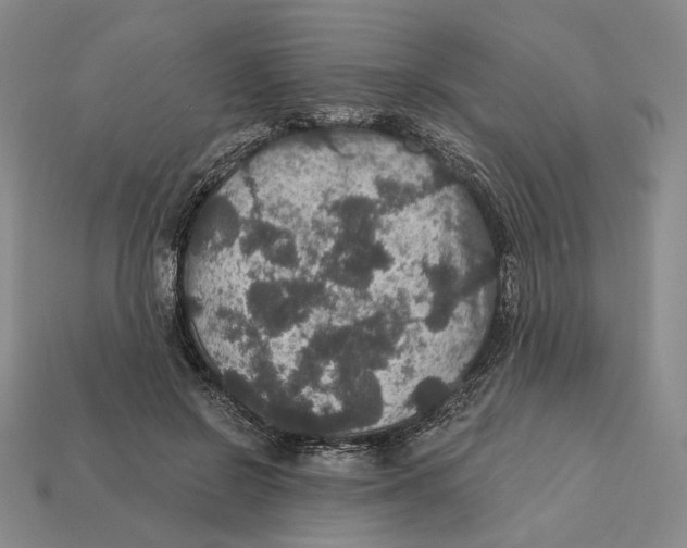 X0000112430550200909111032