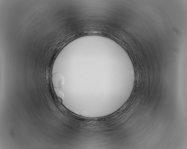 X0000112430551200909111032