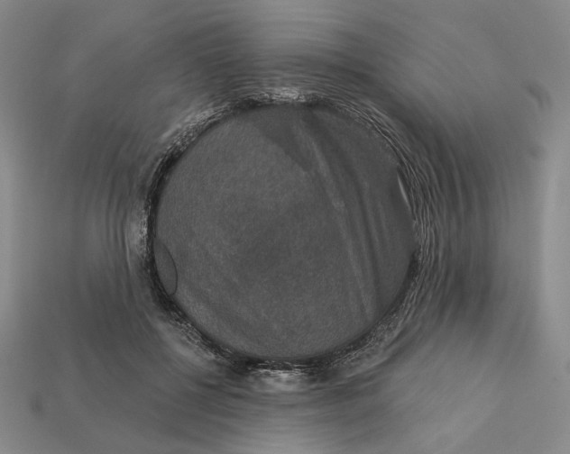 X0000112430552200909111032
