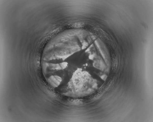 X0000112430553200909111032