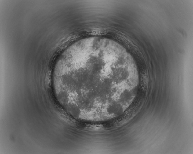X0000112430554200909111032
