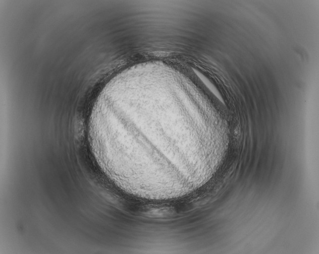 X0000112430555200909111032