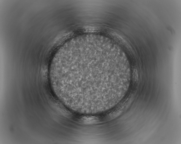 X0000112430557200909111032