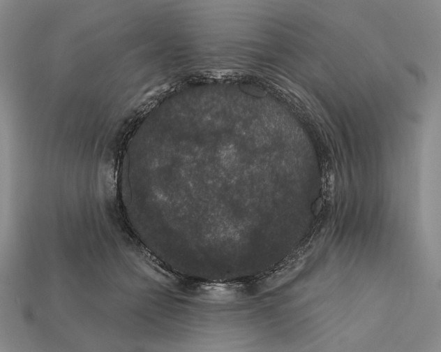 X0000112430558200909111032