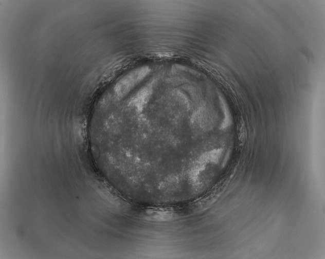 X0000112430559200909111032