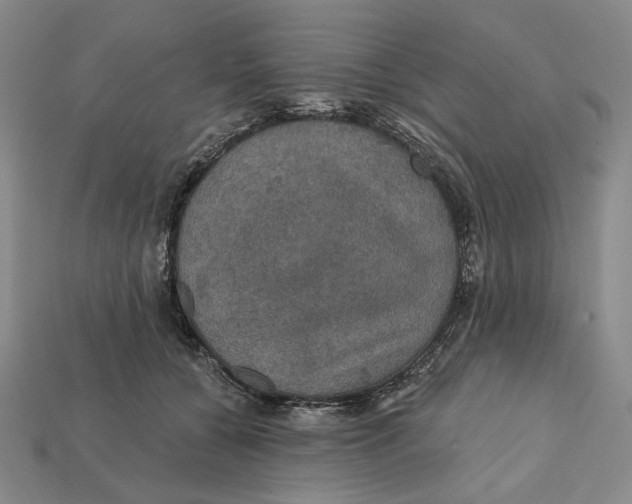 X0000112430560200909111032