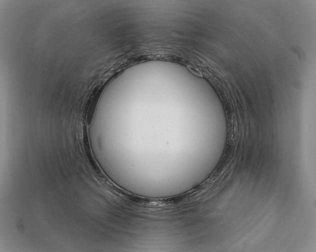 X0000112430562200909111032