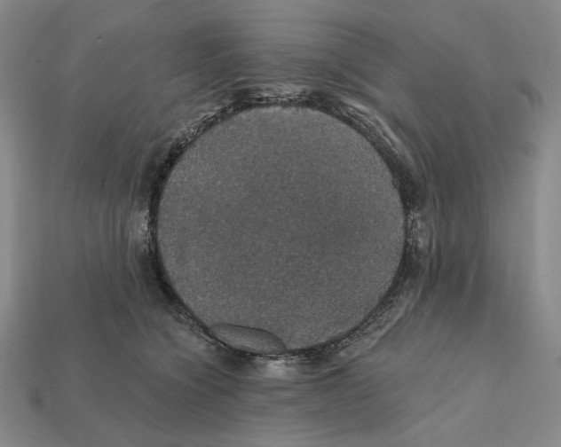 X0000112430564200909111032